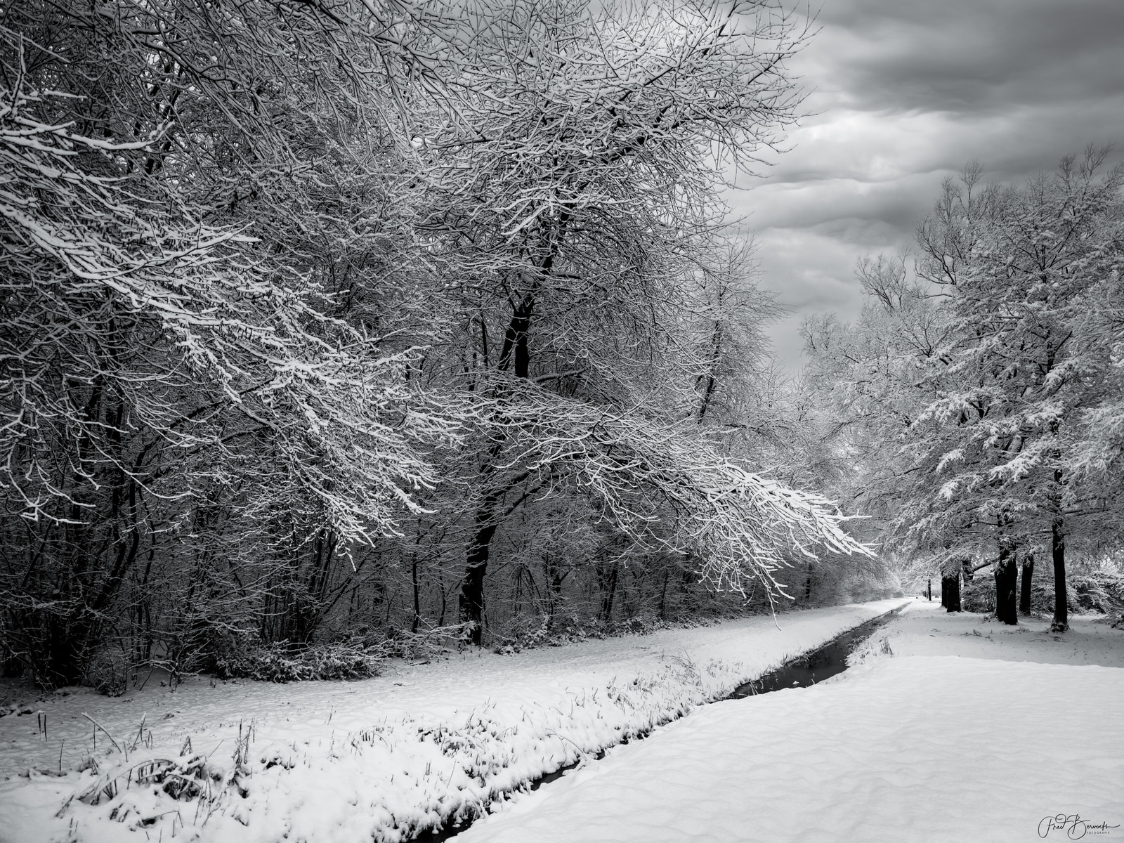 A snow-covered path winds through a forest of bare, snow-laden trees under a cloudy sky.