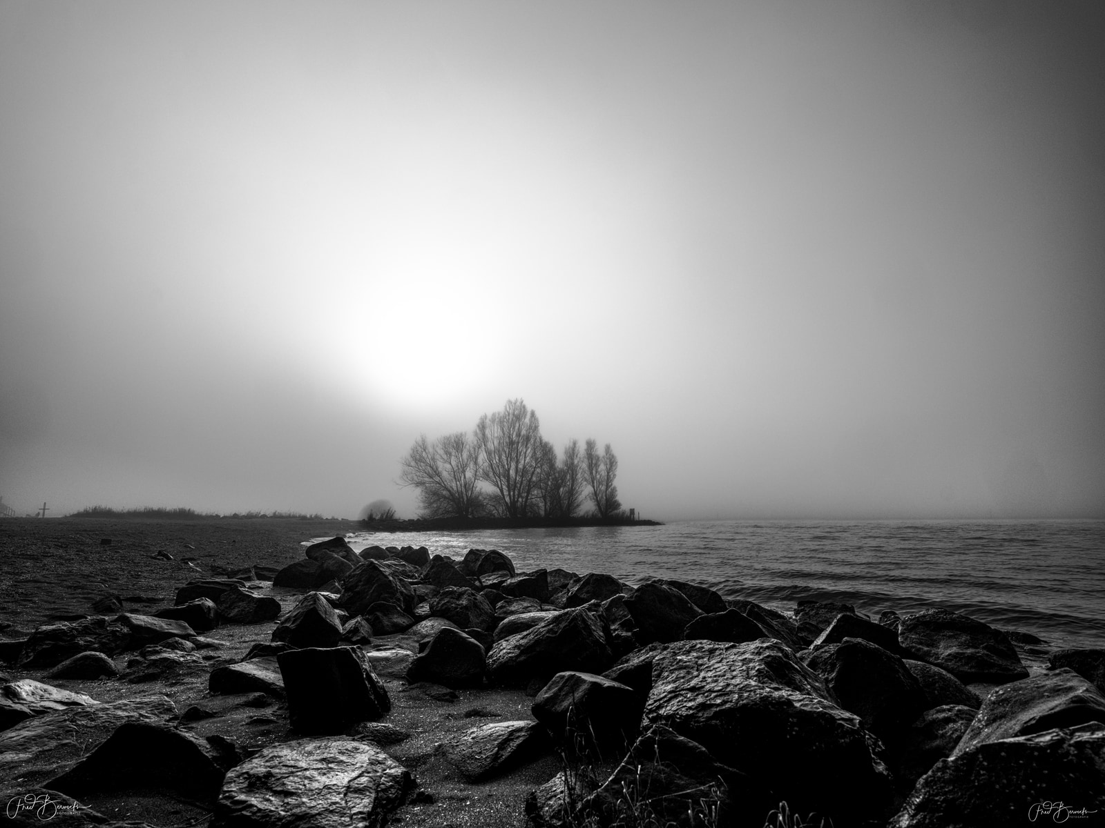 A misty shoreline with scattered rocks and a distant line of trees under an overcast sky.
