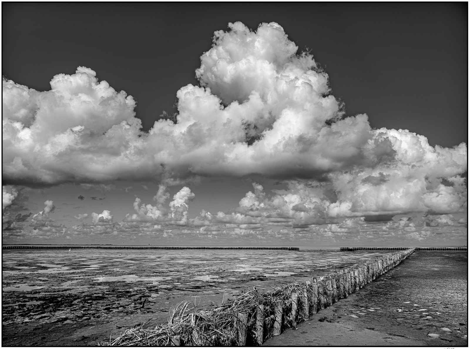 A wide, flat landscape shows a long wooden breakwater extending into calm water under a dramatic sky filled with towering cumulus clouds.