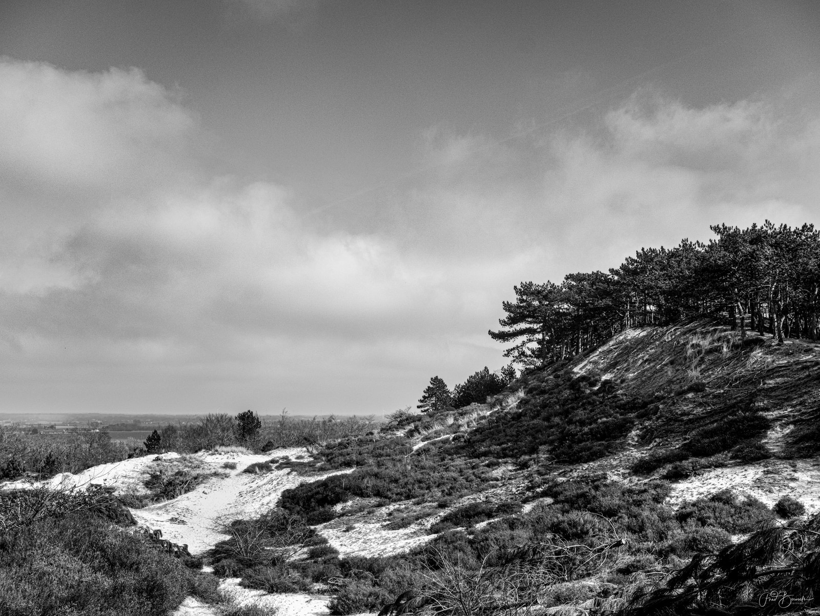 A wide, elevated view shows a sandy, rolling landscape with scattered shrubs and a line of tall trees on a distant ridge under a partly cloudy sky.