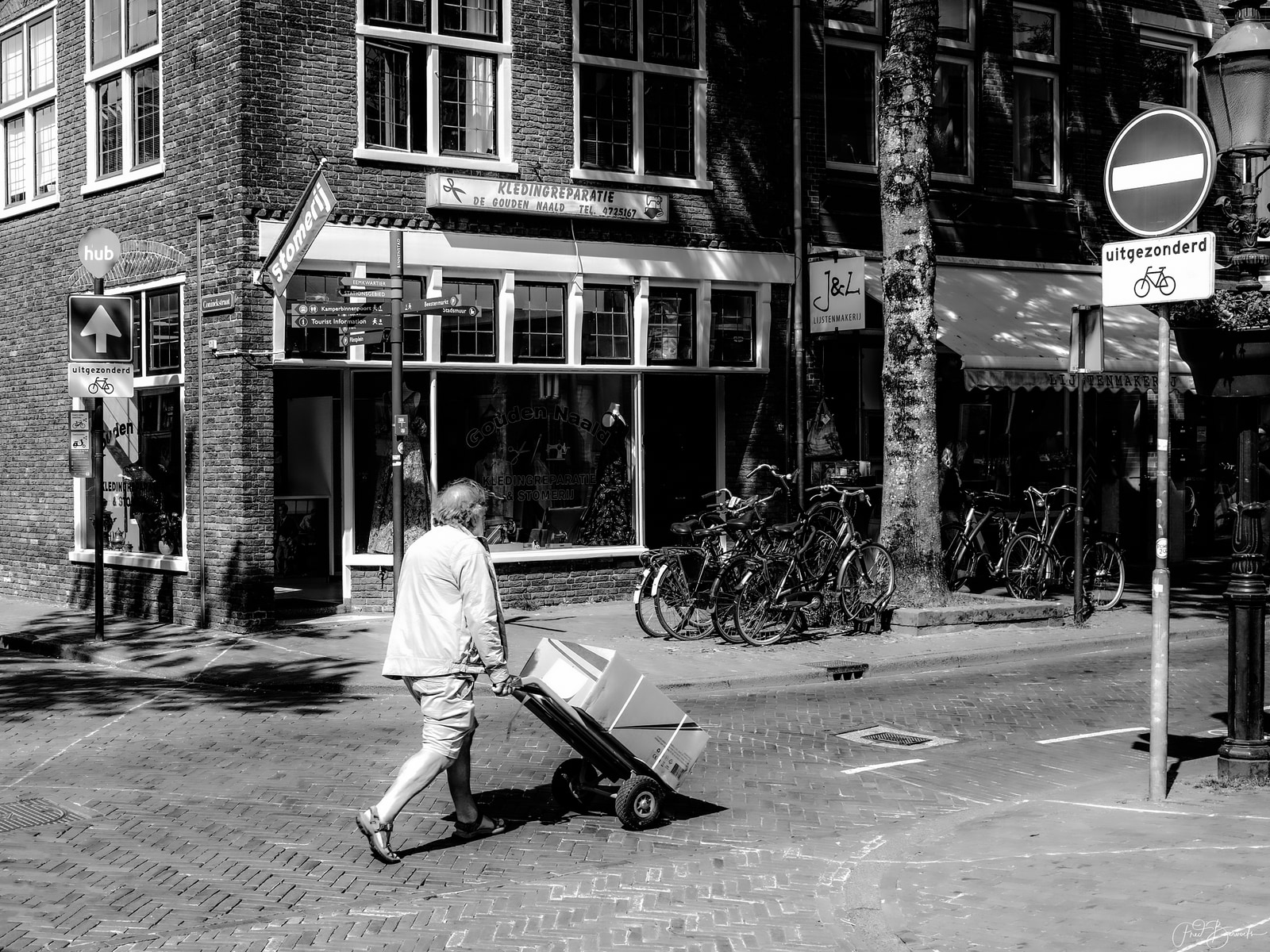 An elderly man pushes a handcart loaded with a large box down a cobblestone street, passing a row of bicycles parked against a tree in front of a shop.