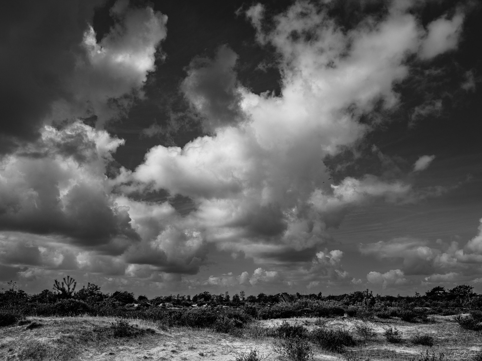 A dramatic black-and-white landscape shows towering cumulus clouds dominating a stormy sky over a dry, open field.