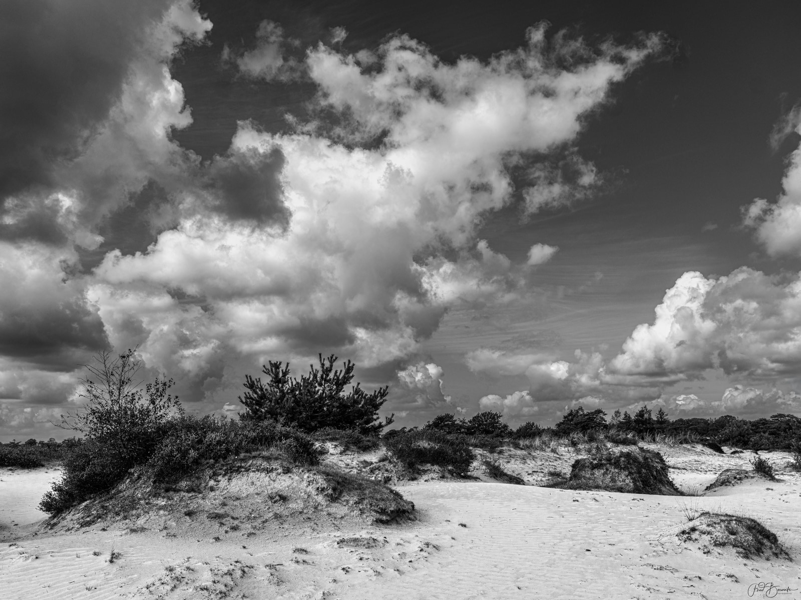 A black-and-white landscape shows sand dunes and sparse vegetation under dramatic, fast-moving clouds.