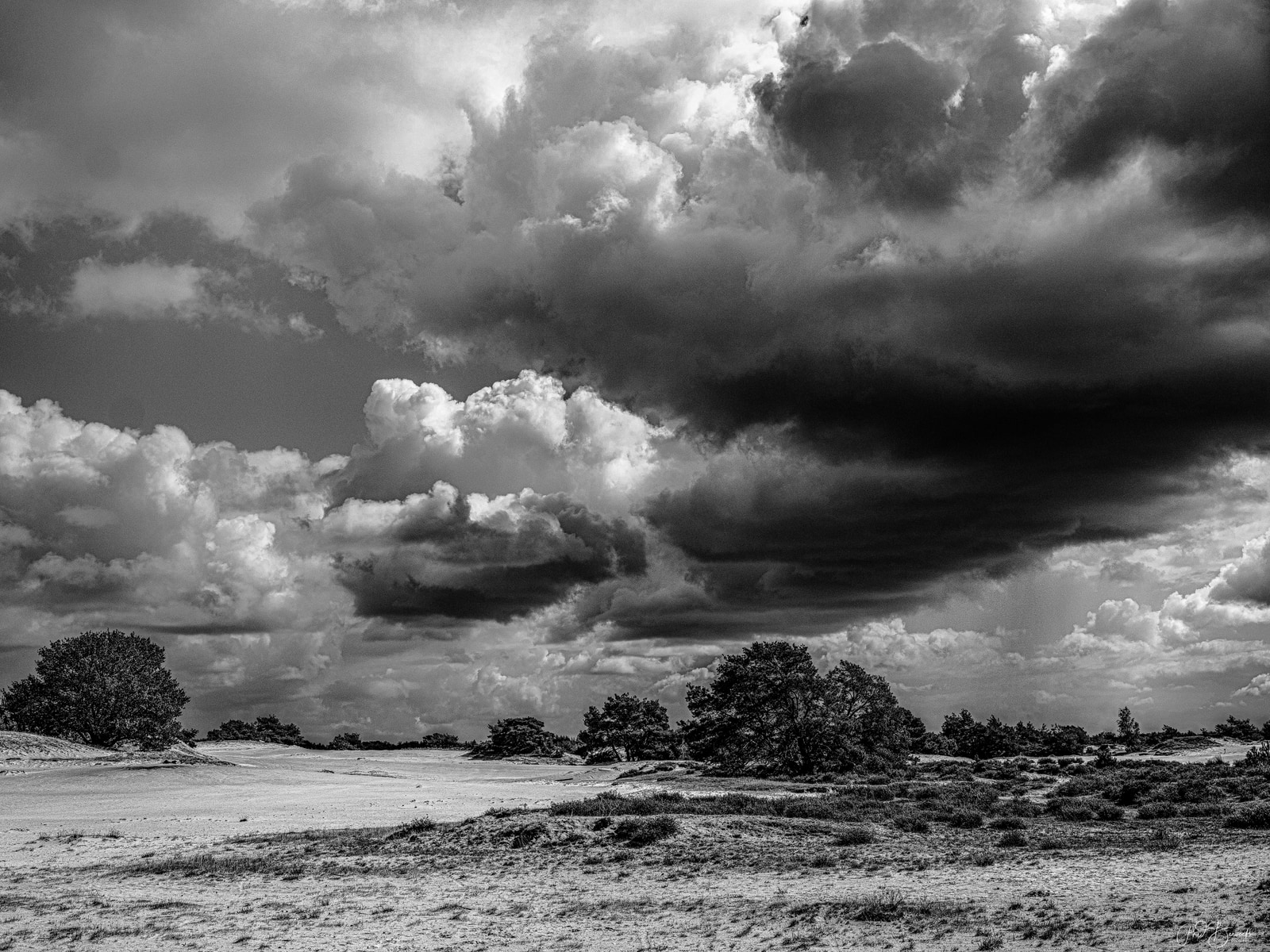A vast, open landscape under a dramatic, brooding sky filled with towering cumulus clouds, with sparse vegetation scattered across the ground.
