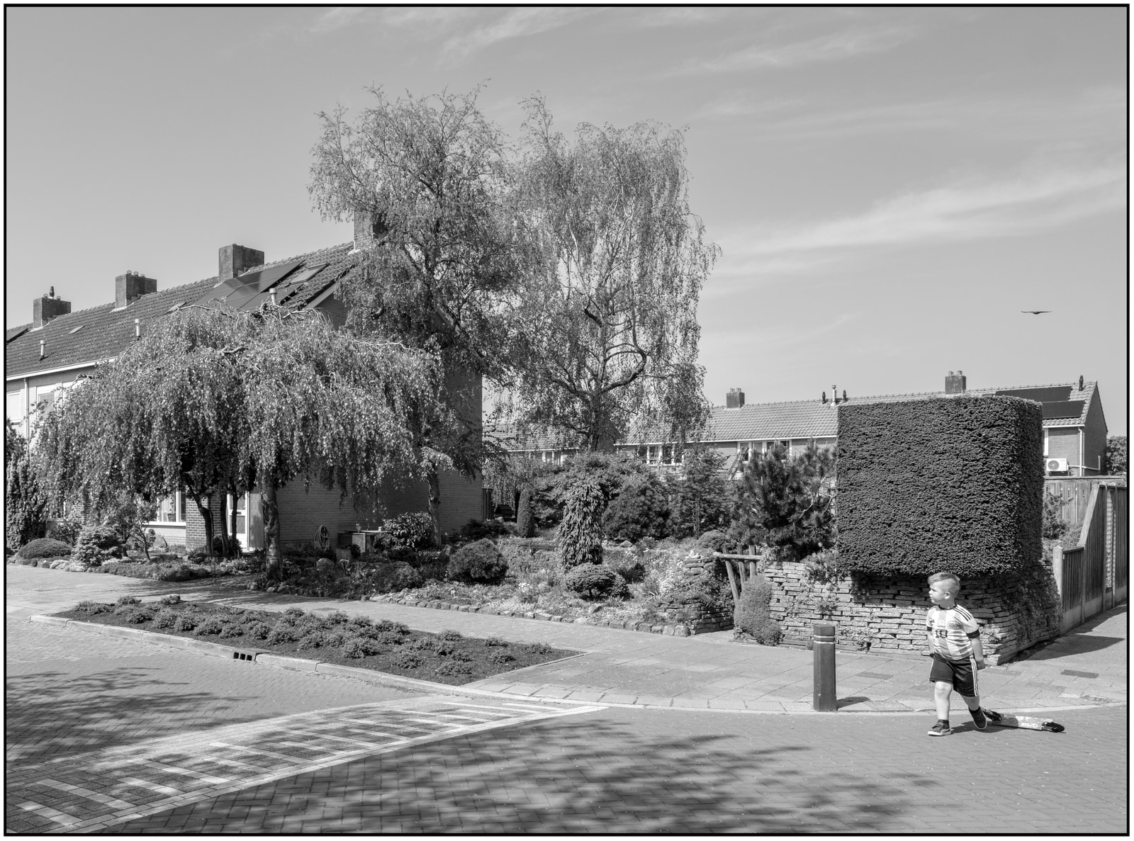 A young child stands on a sidewalk in front of a row of houses with well-tended gardens.