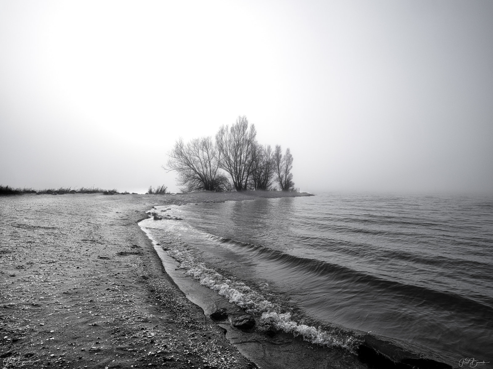 A misty shoreline with gentle waves lapping against the sand, a small cluster of bare trees rising from a low island in the distance.
