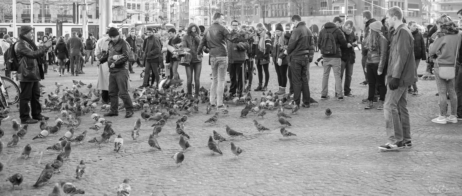 A crowd of people gathers around a flock of pigeons on a cobblestone square.